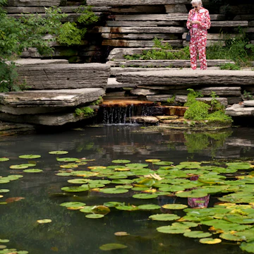 July 29, 2014: Two women check their phones next to the Alfred Caldwell Lily Pool in Lincoln Park Conservatory.