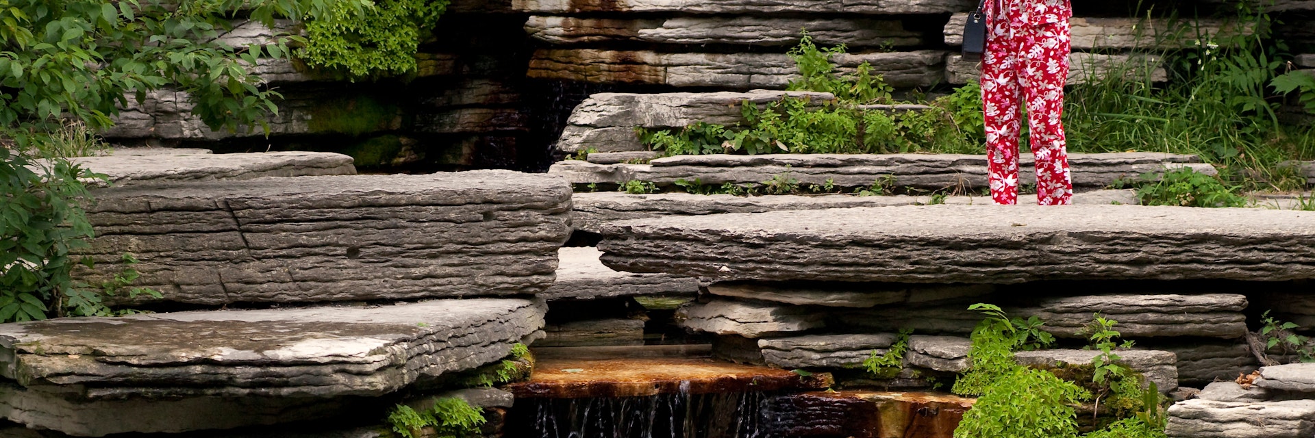 July 29, 2014: Two women check their phones next to the Alfred Caldwell Lily Pool in Lincoln Park Conservatory.