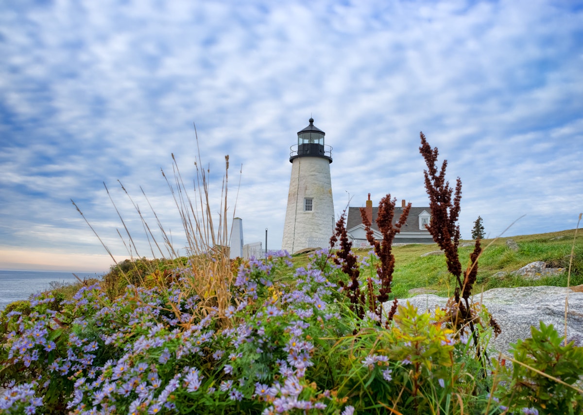 The lighthouse at Pemaquid Point, Maine with cloudy sky above and assorted native foliage in the foreground.
