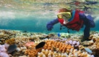 Child (girl age 5-6) snorkeling dive in the Great Barrier Reef in the tropical north of Queensland, Australia