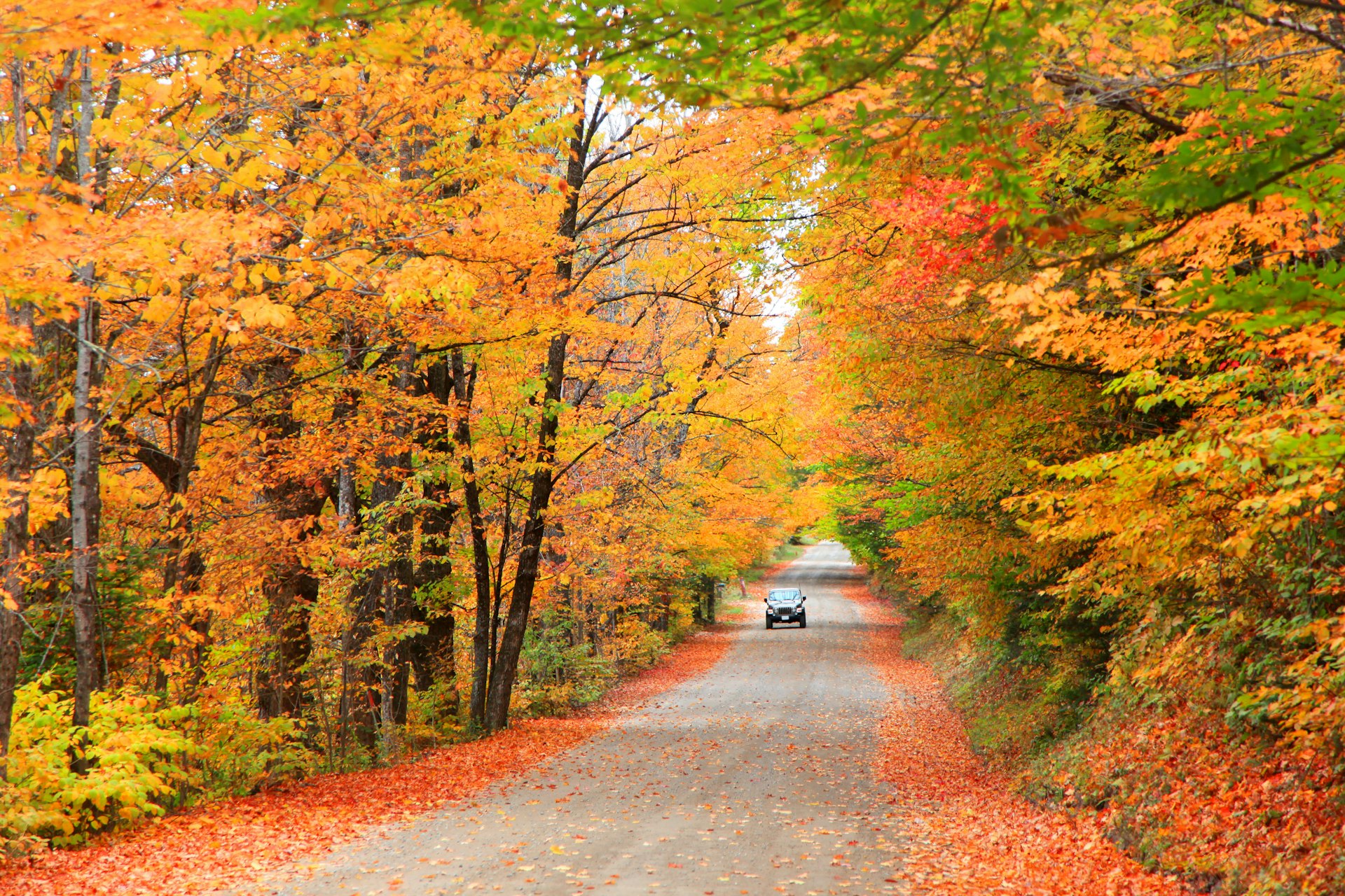 A car drives down a rural road surrounded by colorful fall foliage in Maine