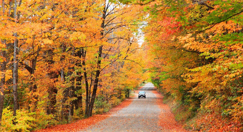 Scenic drive in White Mountain National Forest in New Hampshire
