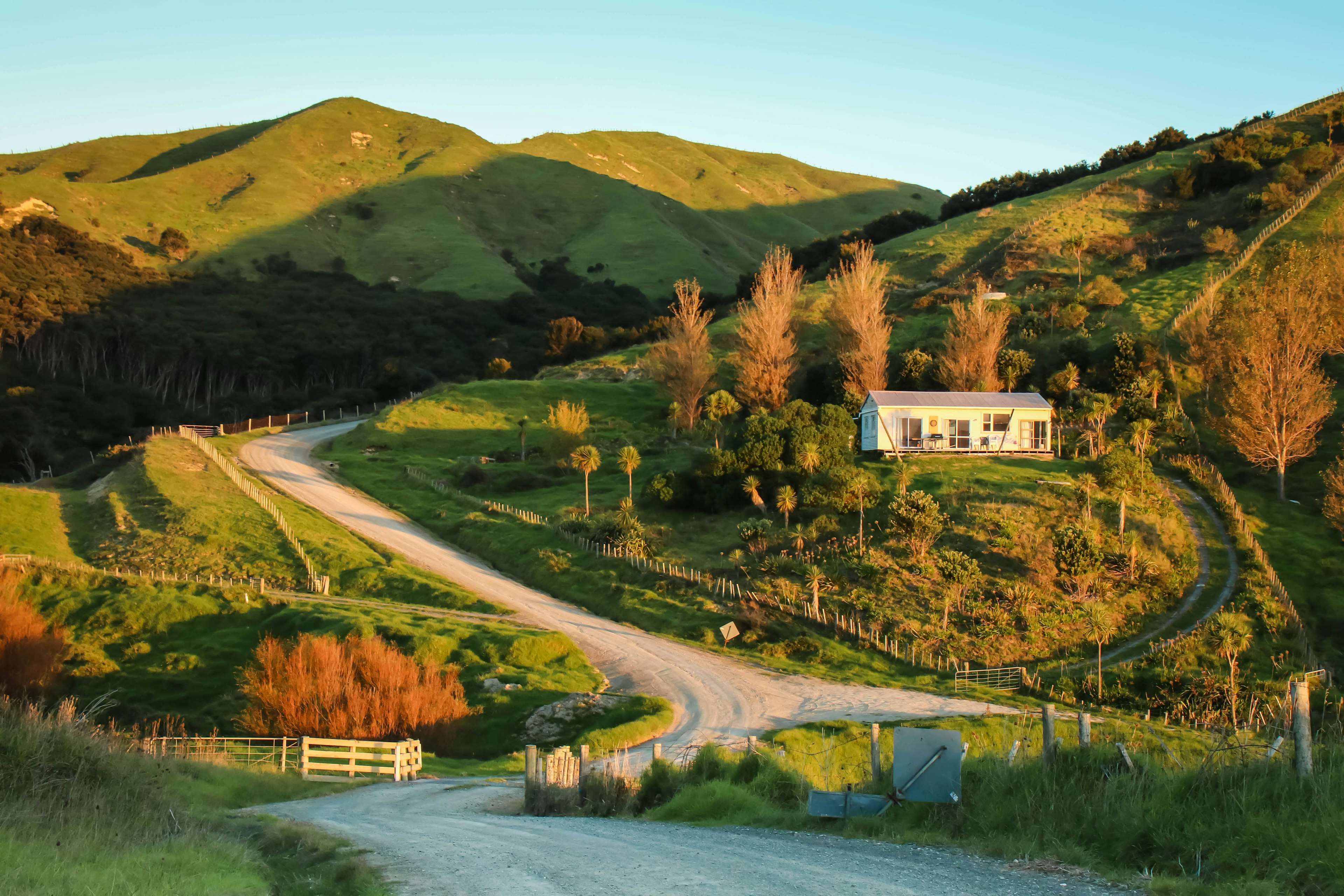 A house on a rural hill in New Zealand