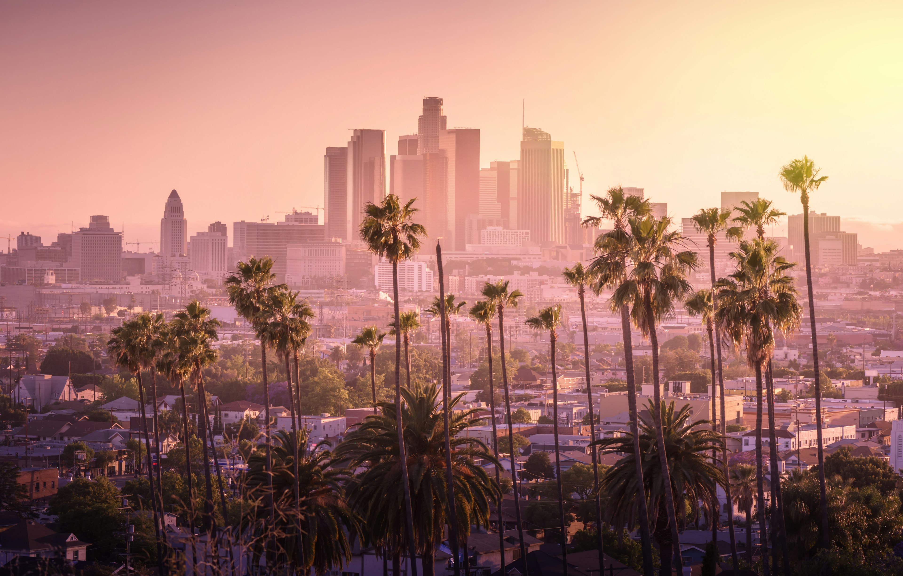 Sunset over downtown Los Angeles with palm trees in the foreground.