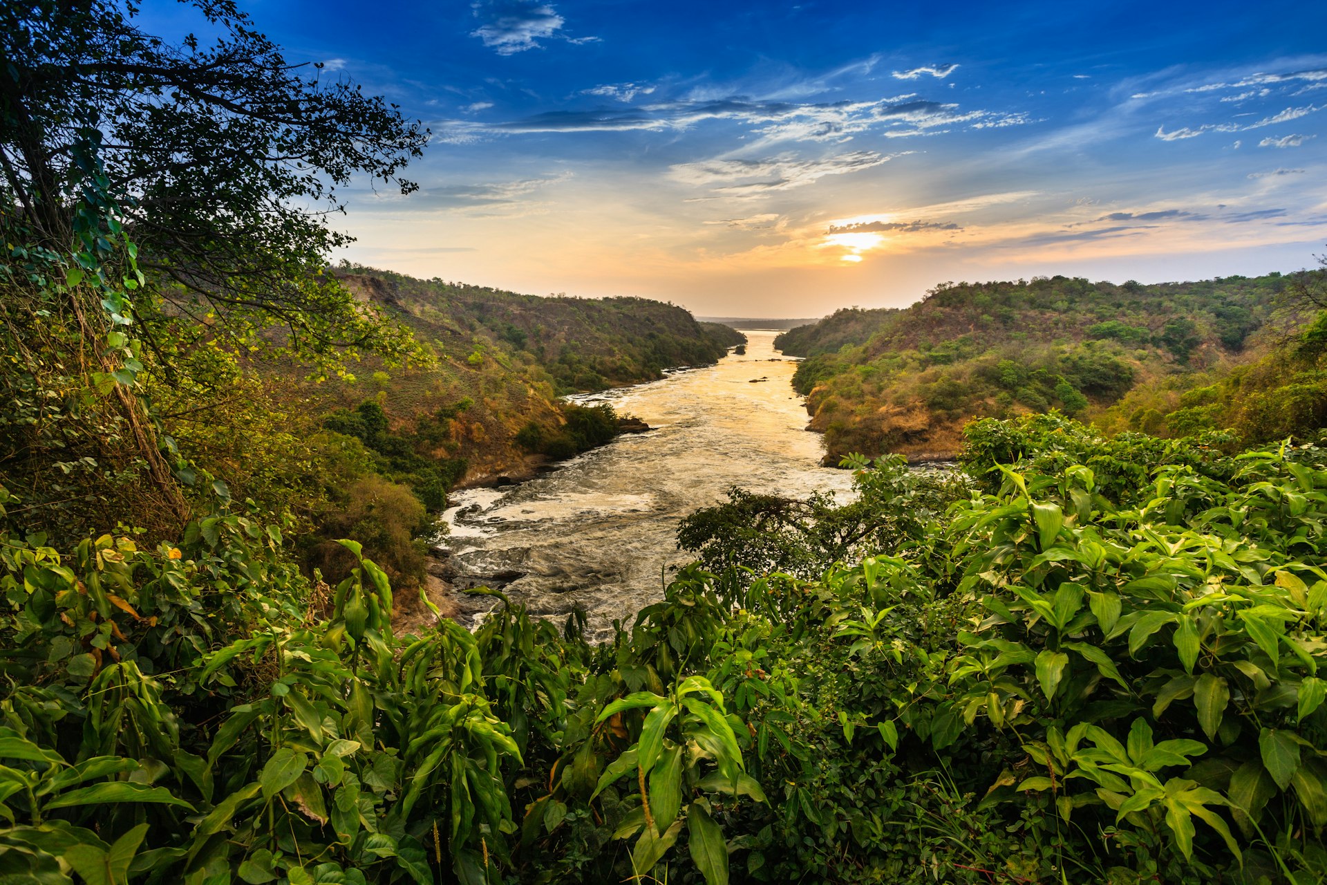 Nile river flowing through dense forest at the Murchison Falls National Park in Uganda