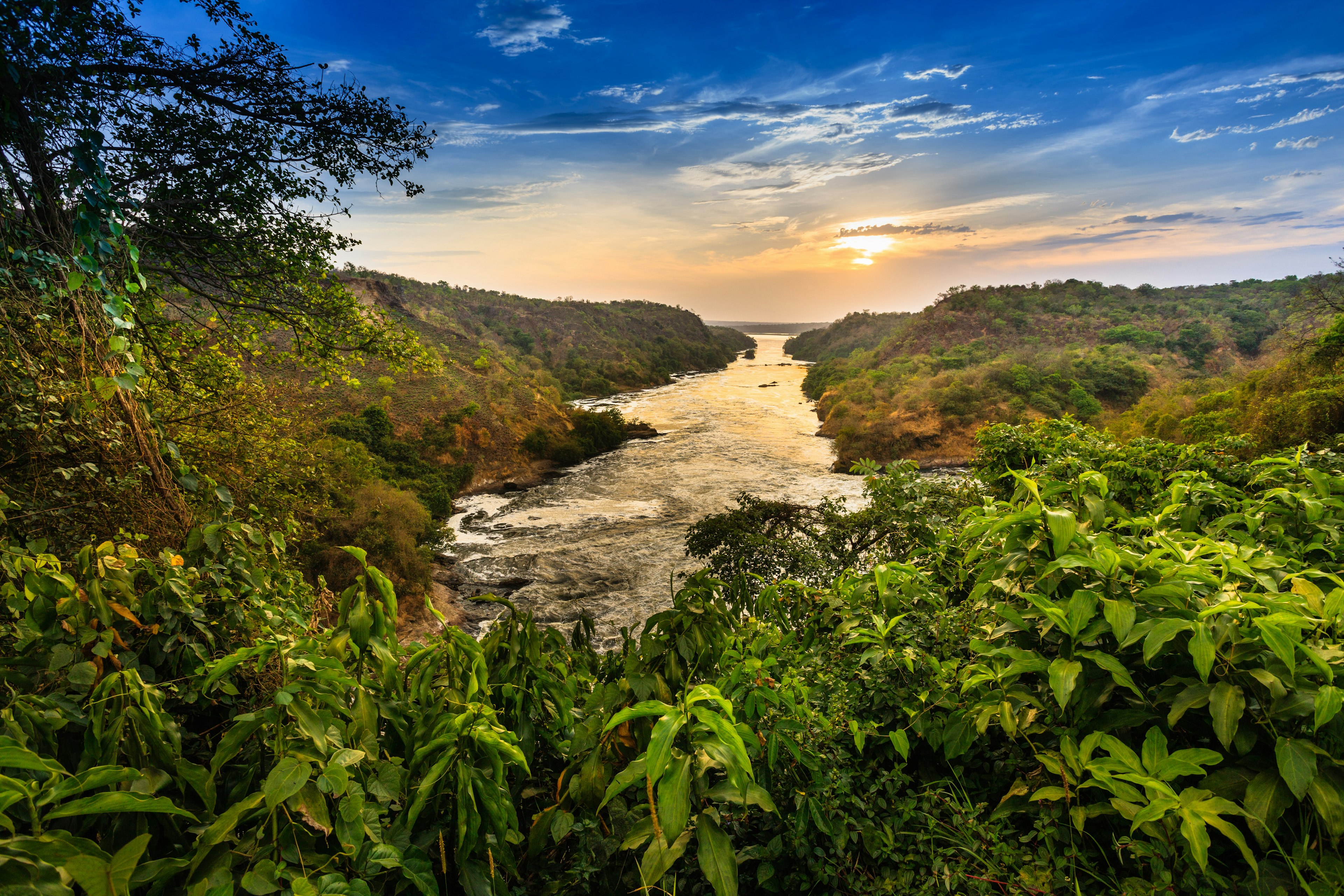 Nile river flowing through dense forest at the Murchison Falls National Park in Uganda