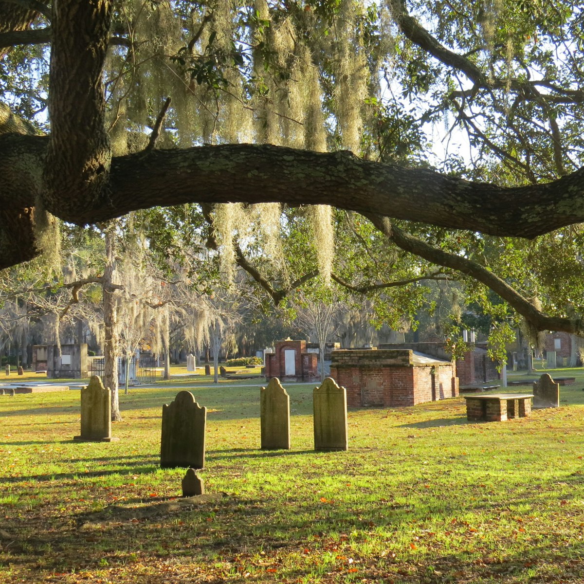 Colonial Park Cemetery in Morning Light