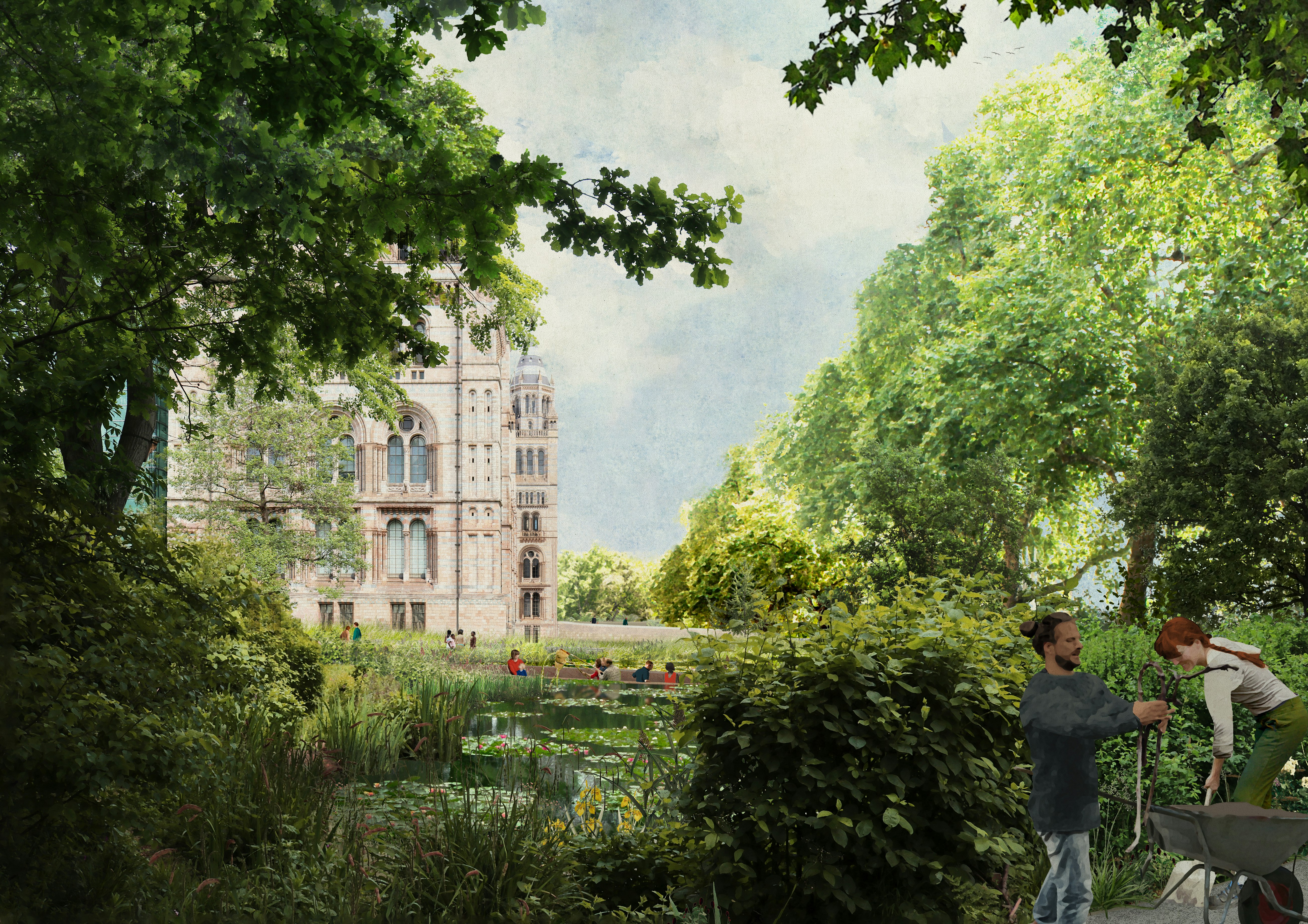 Illustration of wildlife garden at the Natural History Museum
