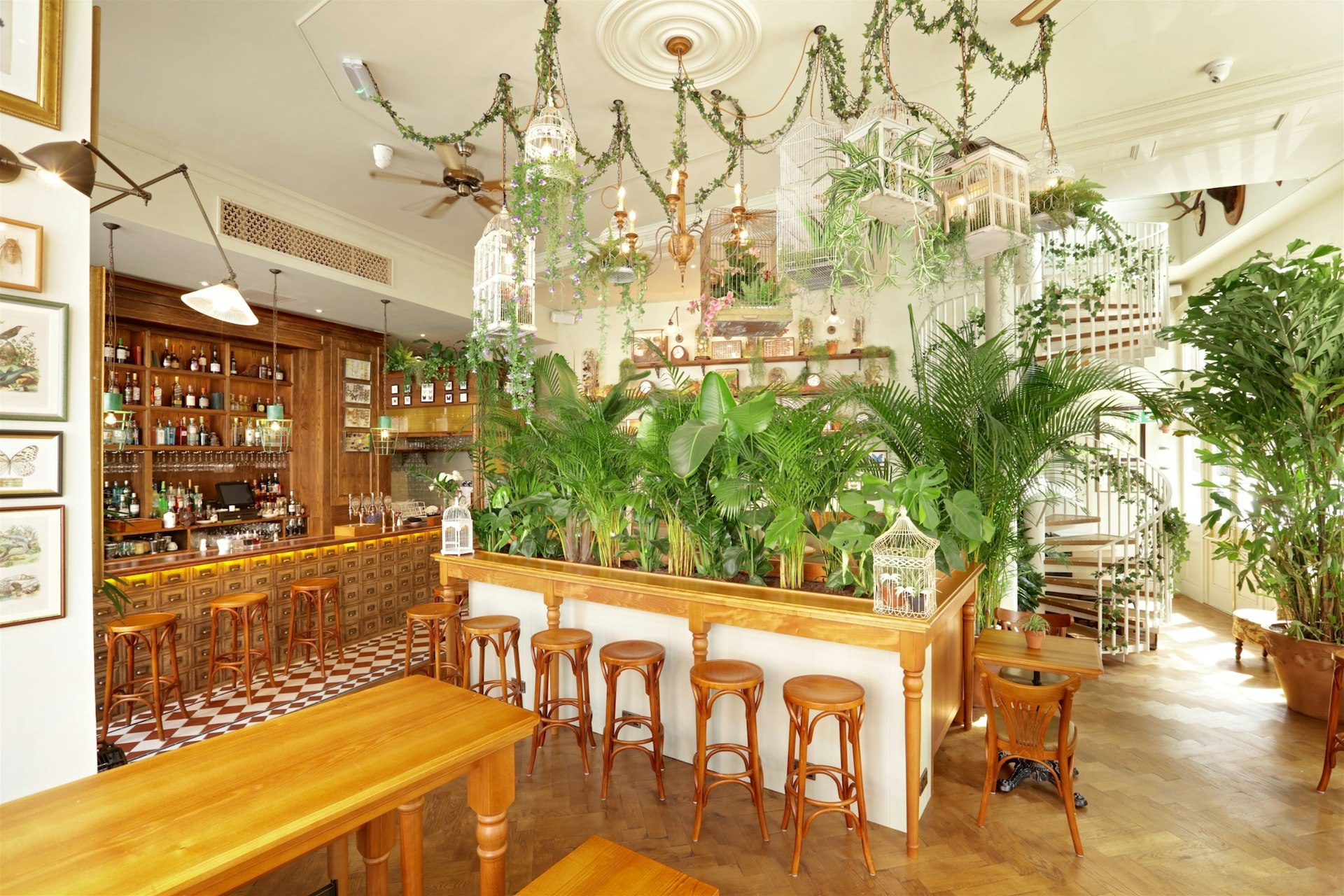 The interior of Mr Fogg's House of Botanicals in London
