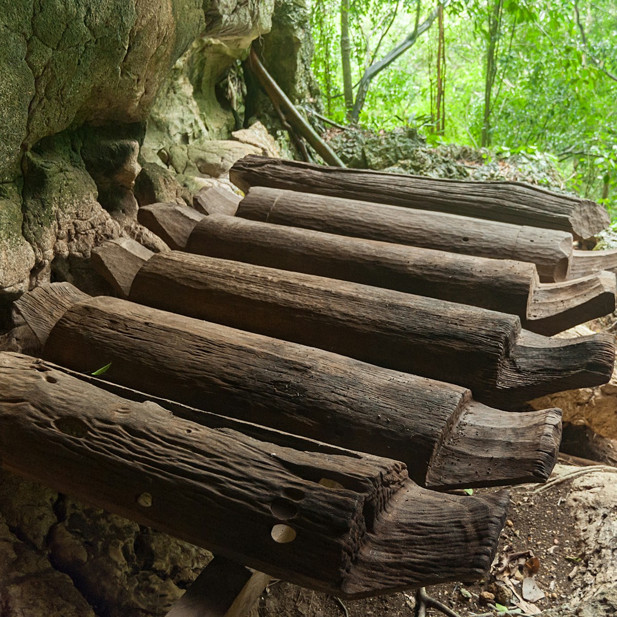 Kinabatangan Sabah Malaysia May 9, 2016 : Carved coffin made from belian tree believed to be about 500-690 years old at ancient burial cave Agop Batu Tulug in Kinabatangan Sabah.; Shutterstock ID 419637439; Your name (First / Last): Lauren Vastine; GL account no.: 65050; Netsuite department name: Online Editorial; Full Product or Project name including edition: BiA Imagery