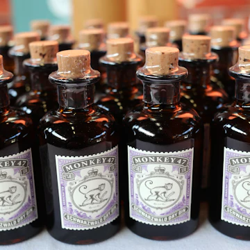 Small bottles of "Monkey 47" gin are offered at a stand at the eat&STYLE food festival in Hamburg, Germany, 11 November 2016. Germany's biggest food festival "eat&STYLE" was opened at the Hamburg "Schuppen 52". The festival offers current food trends and workshops for visitors. Photo: Christian Charisius/dpa | usage worldwide (Photo by Christian Charisius/picture alliance via Getty Images)