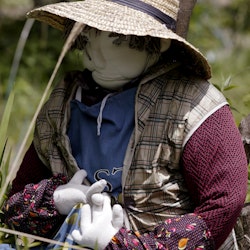 Tokushima, Shikoku, Japan, North-East Asia, Asia