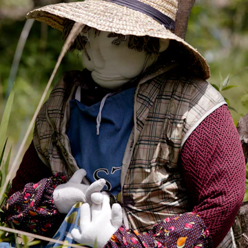 Tokushima, Shikoku, Japan, North-East Asia, Asia