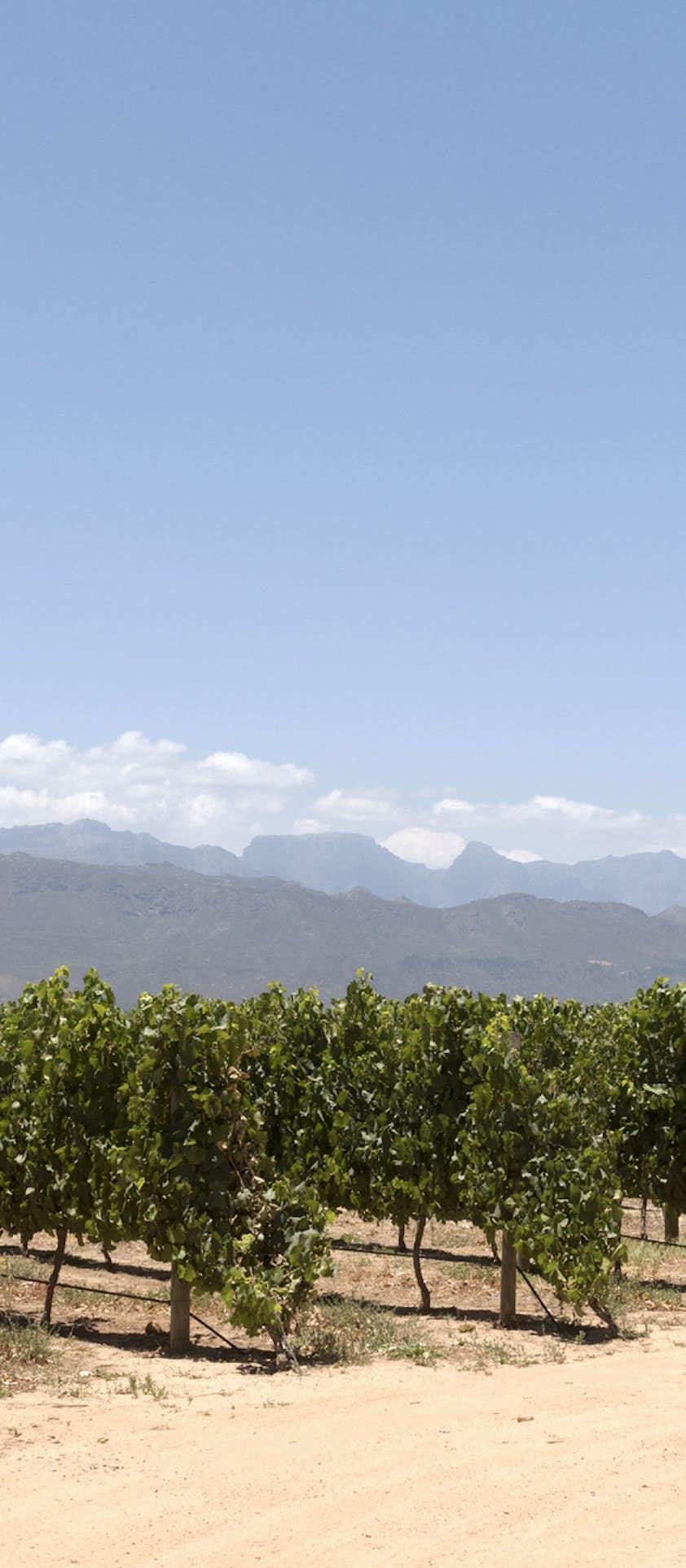 Babylonstoren by © Peter Titmuss/UIG / Getty Images Babylonstoren by © Peter Titmuss/UIG / Getty Images