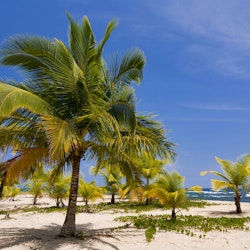 Costa Rica, Limon Province, Caribbean coast, Gandoca-Manzanillo national wildlife refuge, Puerto Viejo de Talamanca, Playa Punta Uva beach