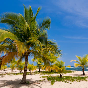 Costa Rica, Limon Province, Caribbean coast, Gandoca-Manzanillo national wildlife refuge, Puerto Viejo de Talamanca, Playa Punta Uva beach