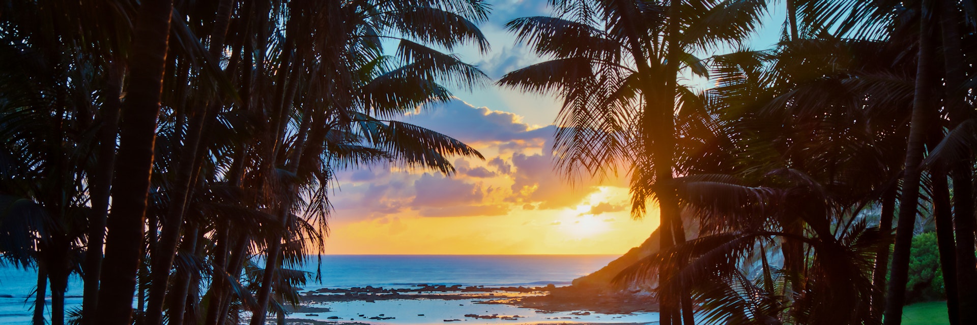 Sunrise sun streams through palm trees on the road to Ned's Beach,Lord Howe Island,New South Wales,Australia