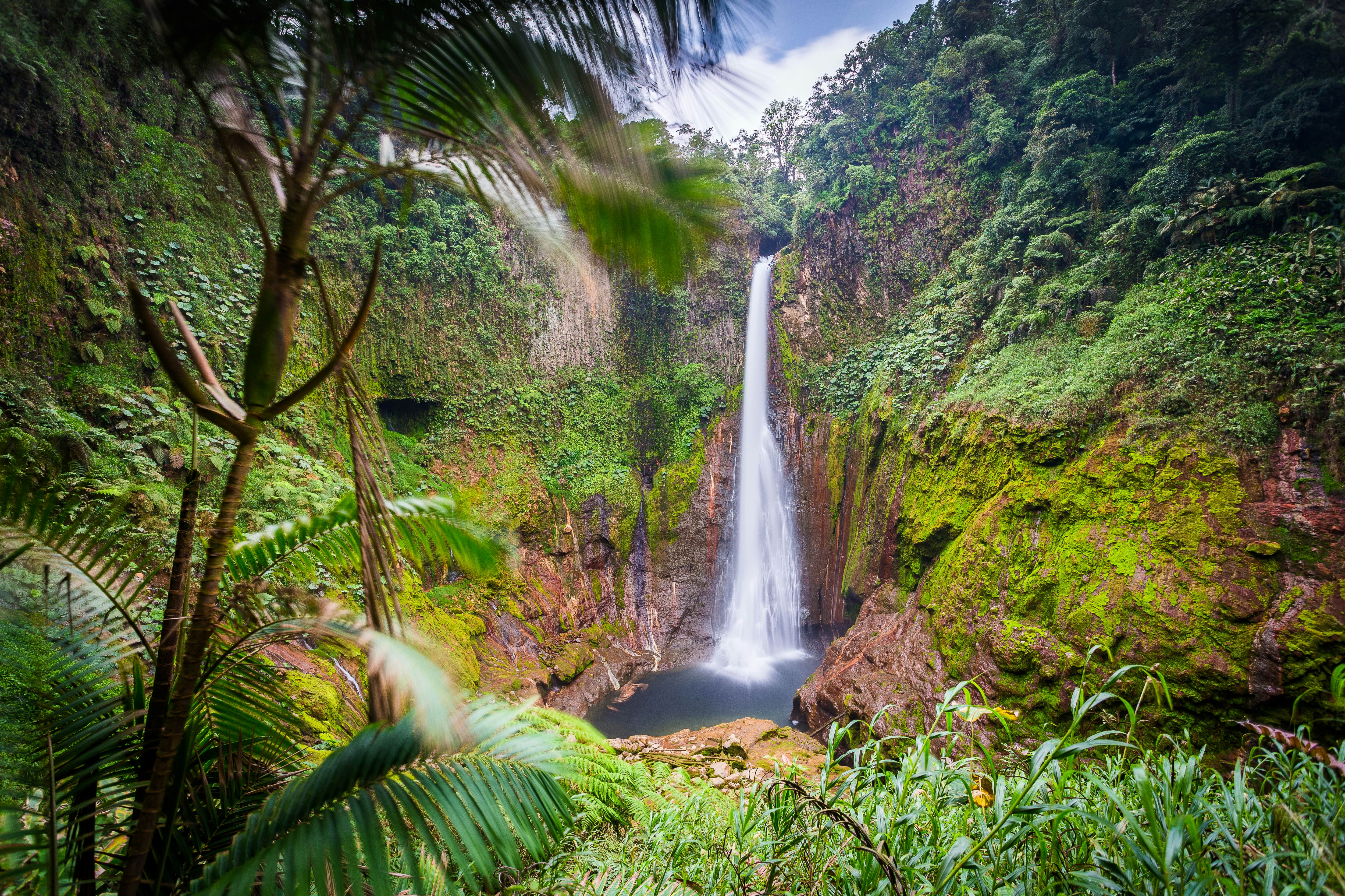 The best national parks in Costa Rica - Lonely Planet