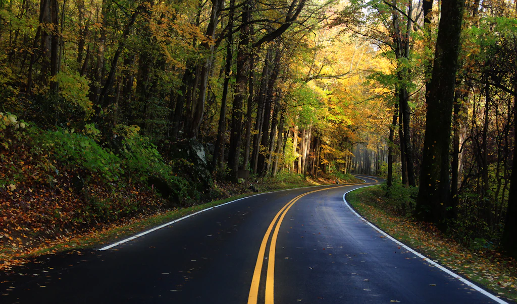 500px Photo ID: 128513423 - US 441 aka the NewFound Gap in the Great Smoky Mountain national Park