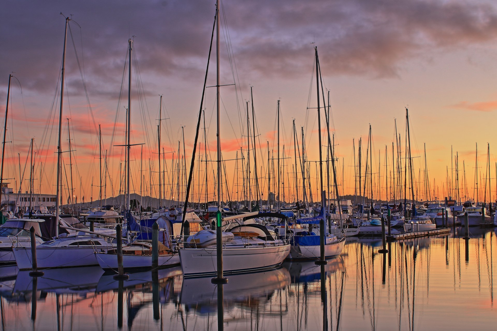 Yachts at sunrise in Auckland, New Zealand