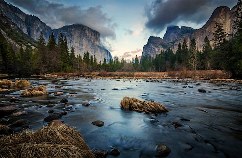 河风景看法在森林，优胜美地国家公园，加利福尼亚，美国