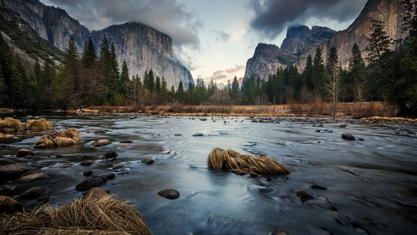 Scenic view of river in forest, Yosemite National Park, California, USA