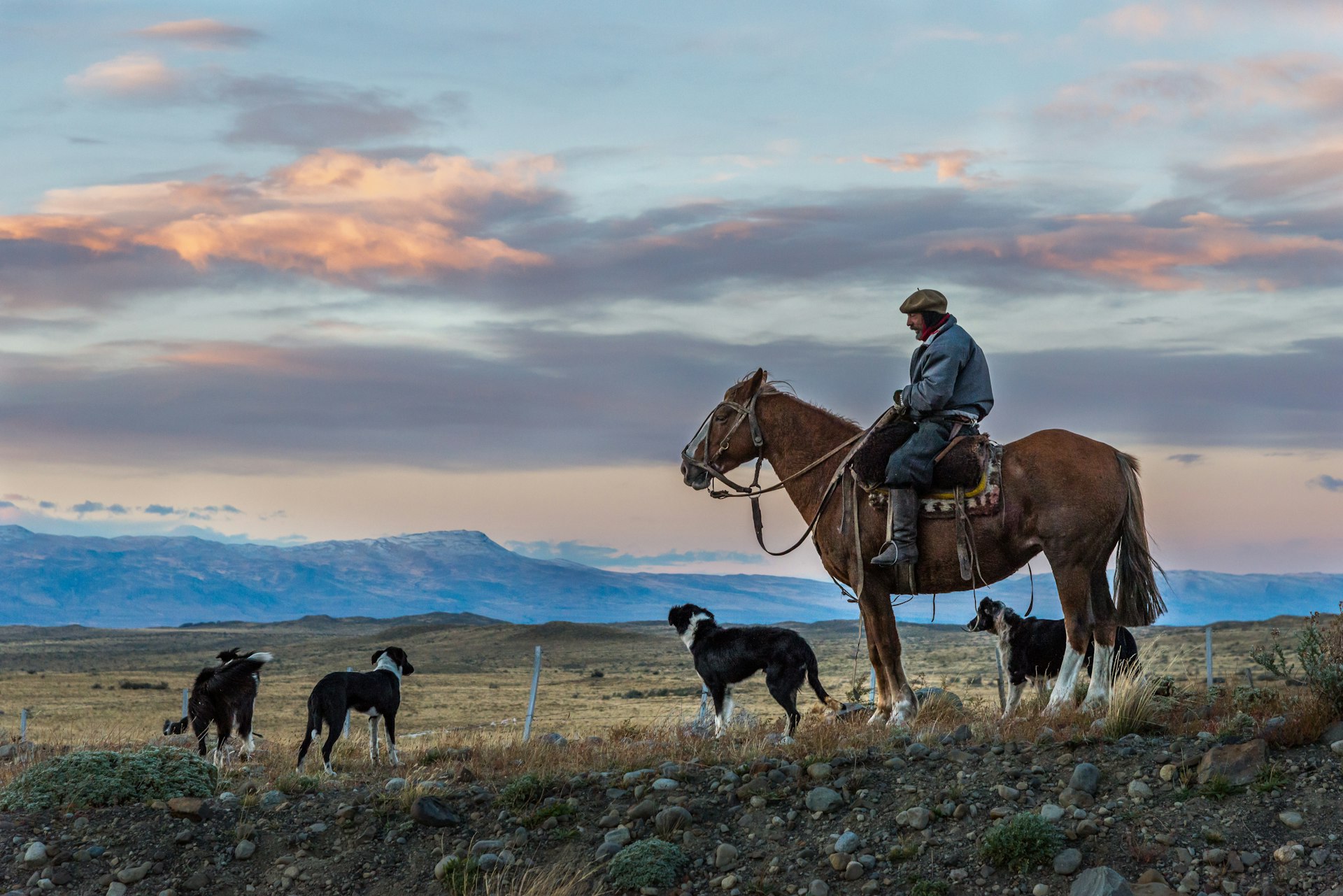 500px Photo ID: 180201631 - Coming back from some late afternoon shooting in Los Glaciares in Patagonia we were held up by a herd of sheep being driven across the road by several gauchos and their sheep dogs.  It was a major hold-up to funnel the hundreds