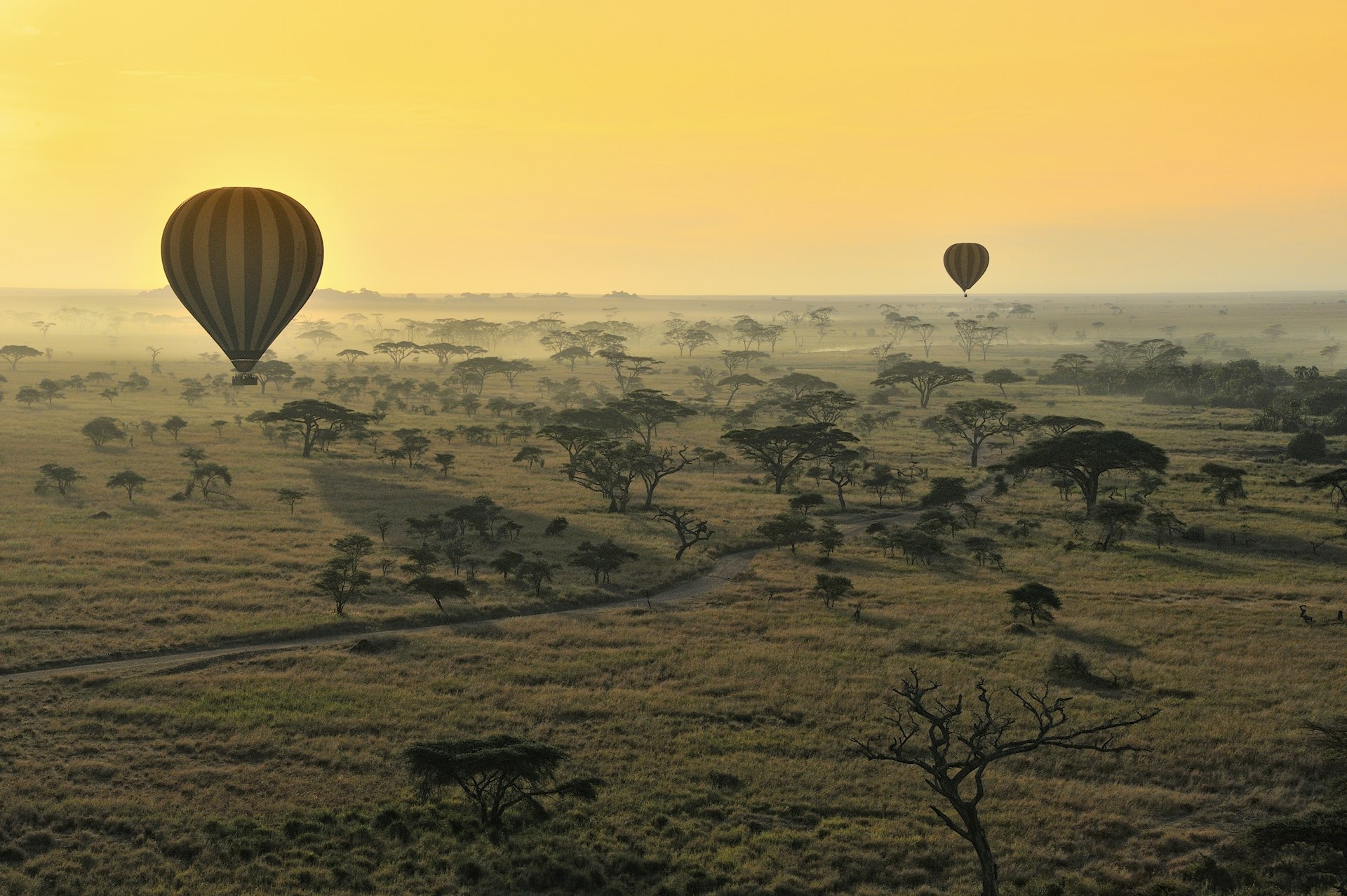 Two hot-air balloons float above the grasslands at sunrise