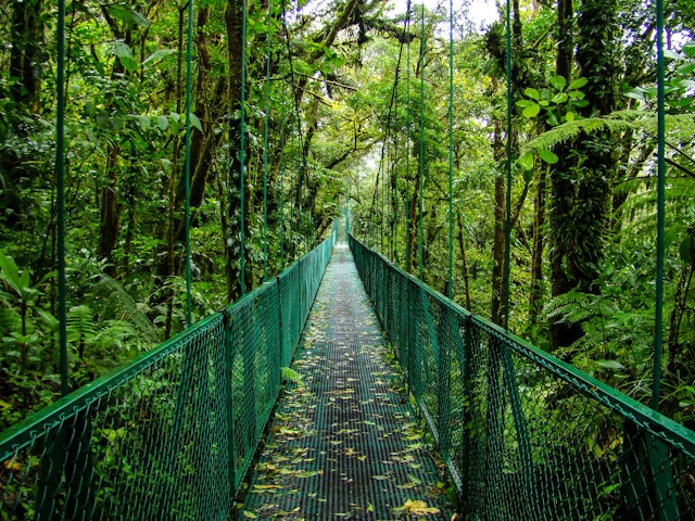 Osa Peninsula: Costa Rica's most adventurous corner - Lonely Planet