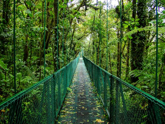 Costa Rica has reopened to travelers. Here's what it's like to visit ...