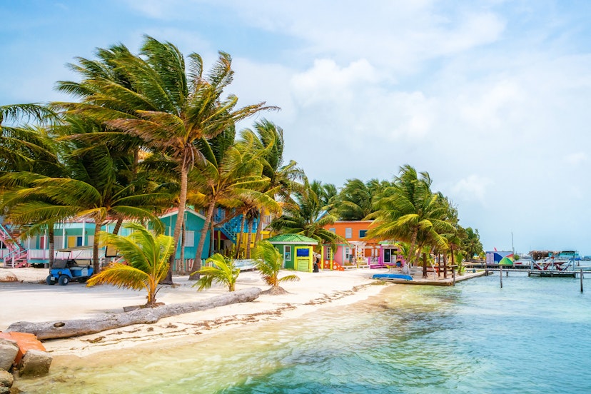 Palm trees and colourful houses on beach, Caye Caulker, Belize