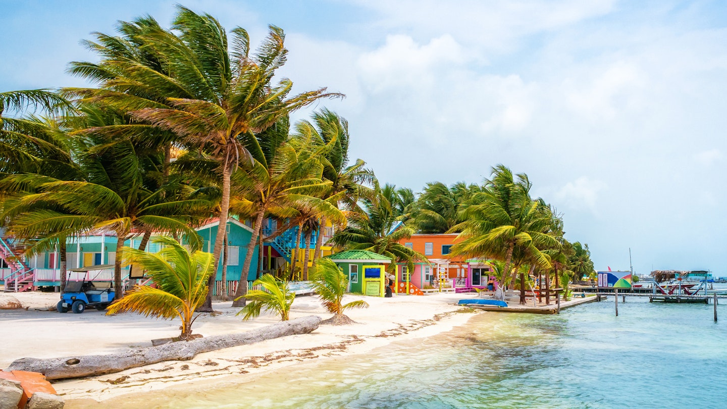 Palm trees and colourful houses on beach, Caye Caulker, Belize