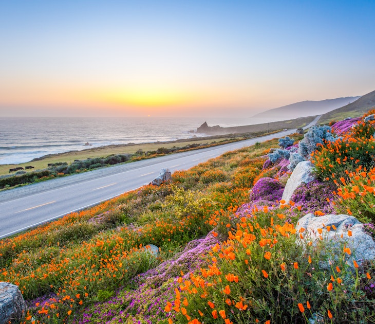 Coastline on Highway 1 near Big Sur.