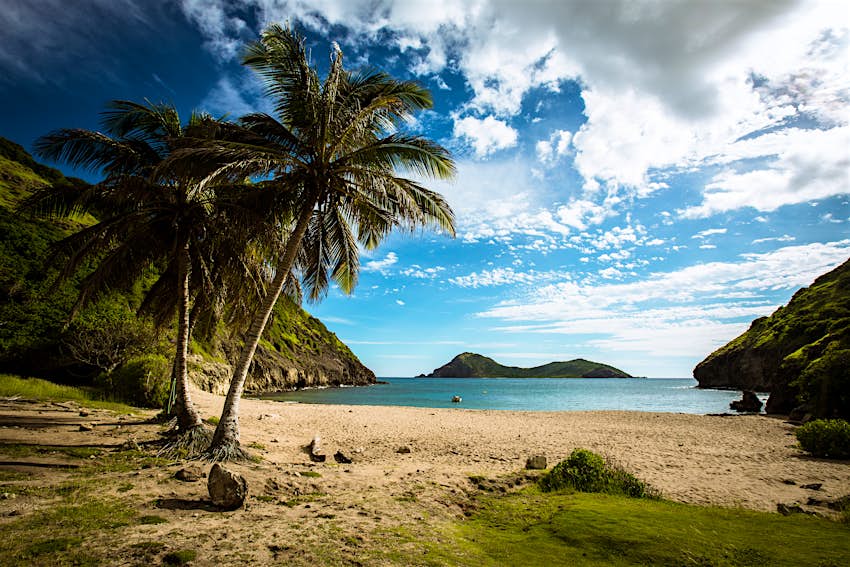 500px Photo ID: 87442069 - A palm tree frames the shot of a beach in Guadeloupe