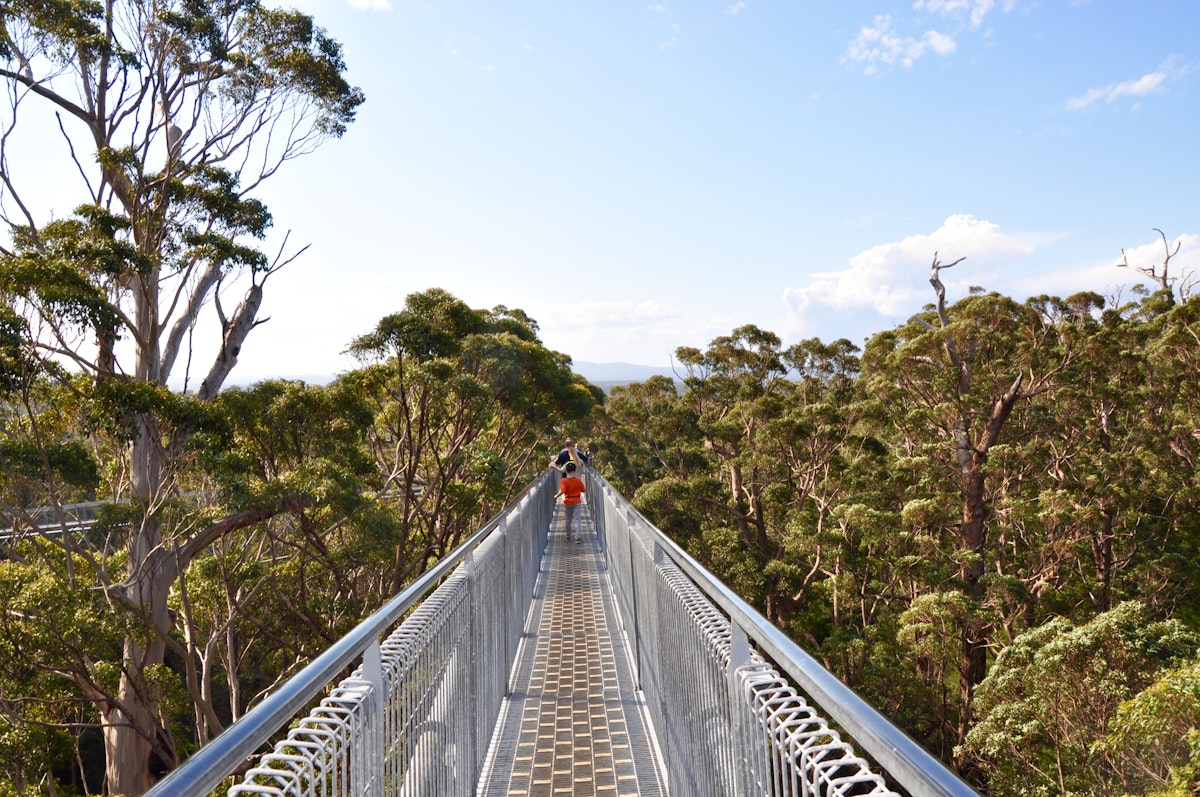 Denmark,WA,Australia-October 1, 2014: Bridge with tourists at the Tree Top Walk in the Valley of the Giants in Western Australia.