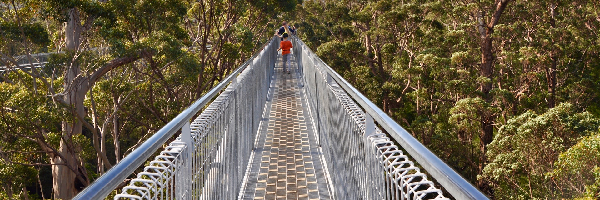 Denmark,WA,Australia-October 1, 2014: Bridge with tourists at the Tree Top Walk in the Valley of the Giants in Western Australia.