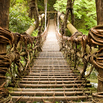 Kazurabashi vine bridge in Japan's Iya Valley