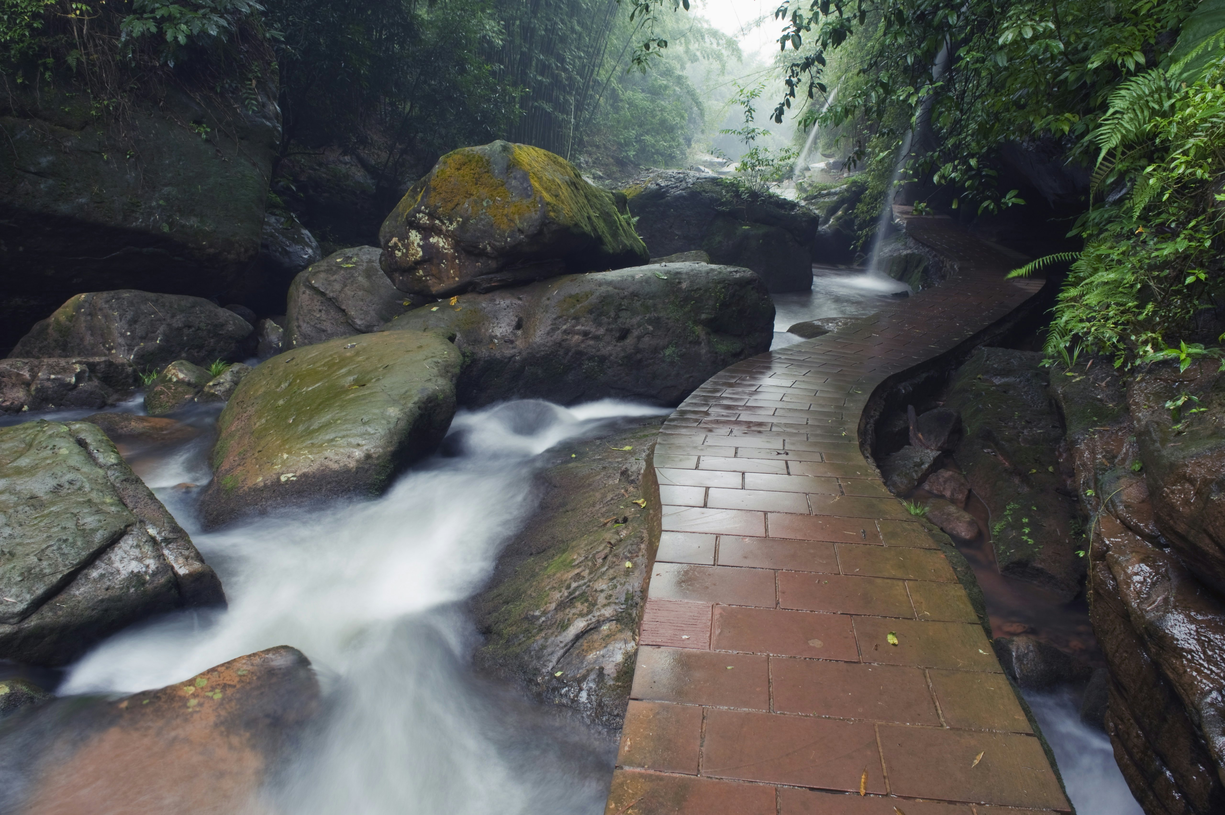 a forest river at Sidonggou Nature Reserve near Chushui Guizhou Province China (NR)