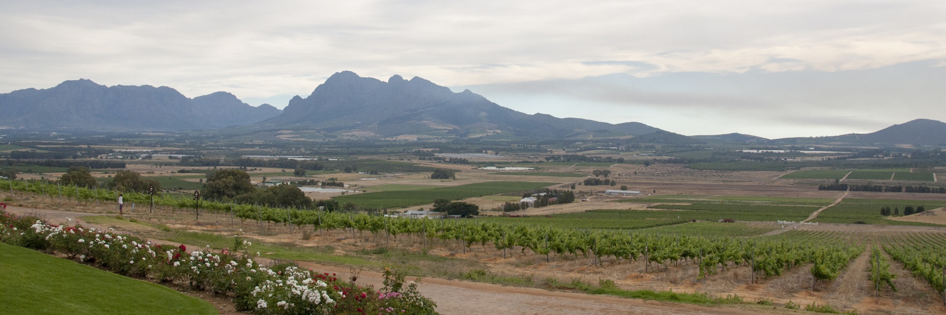 Paarl Mountain covered by clouds at Spice Route, Paarl, South Africa