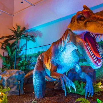 Tyrannosaurus rex (T.rex) was a huge dinosaur (up to 40 feet or 12 metres long, 12 feet or four metres tall) that lived throughout what is now western North America approximately 65 million years ago. This animated display at the Manitoba Museum in Winnipeg, Canada, features replicas that move and appear to breathe. The head is slightly blurred because of its movement.