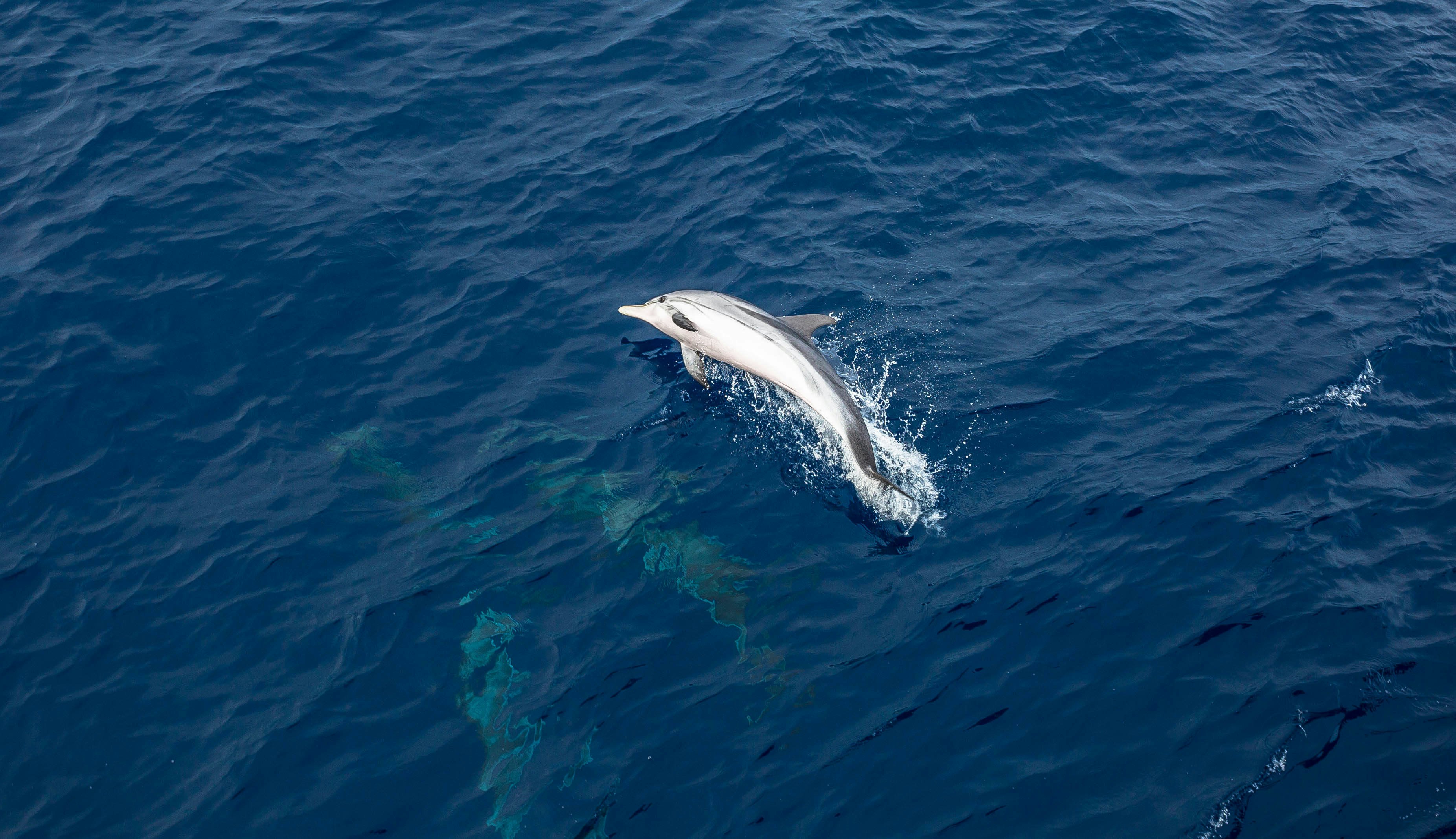 Lošinj Marine Education Centre
