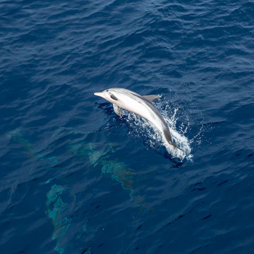 Lošinj Marine Education Centre
