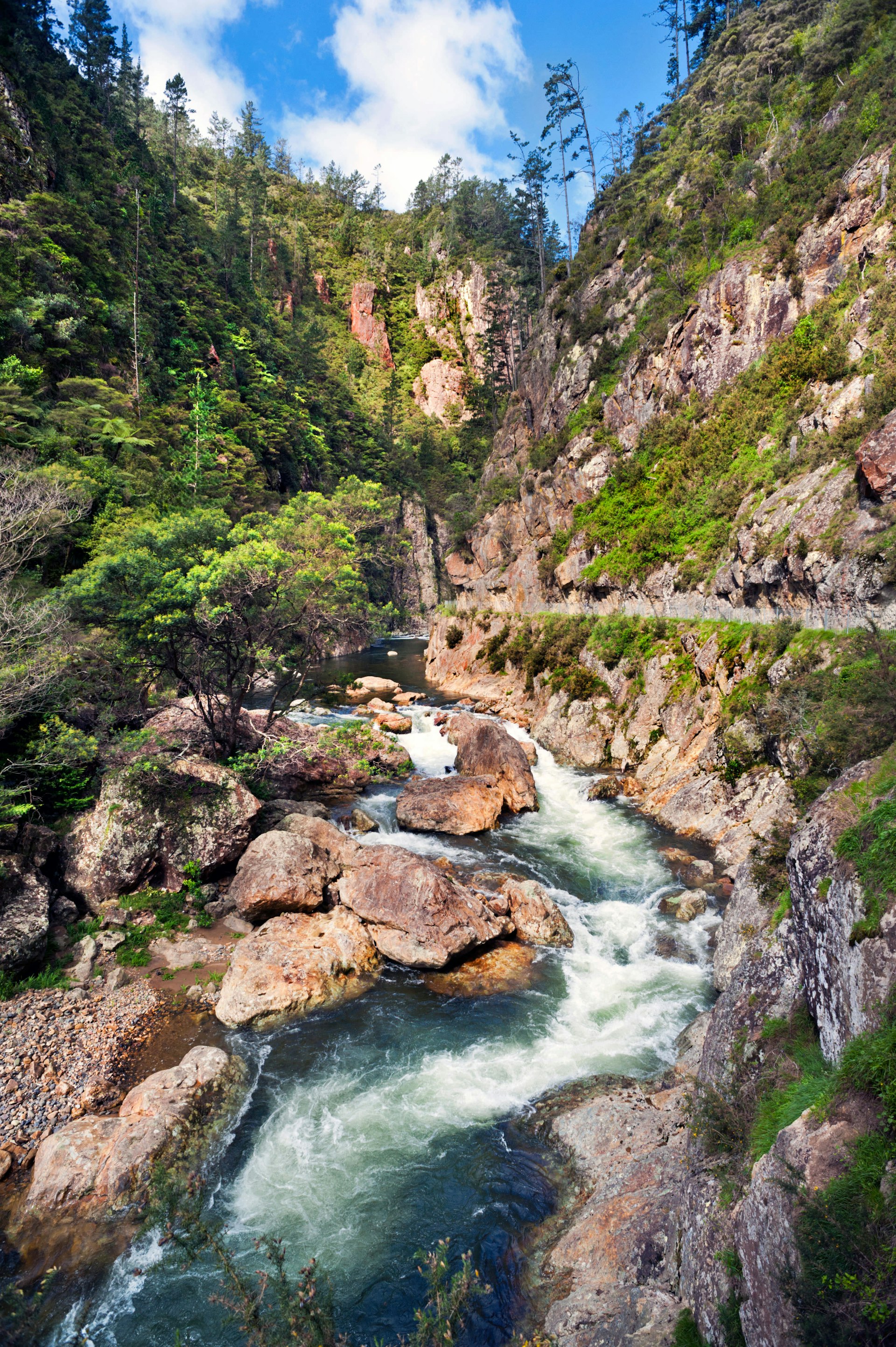 The spectacular Karangahake Gorge, Near Waihi, North Island, New Zealand. The Windows Walk can be seen passing above the river to the right.