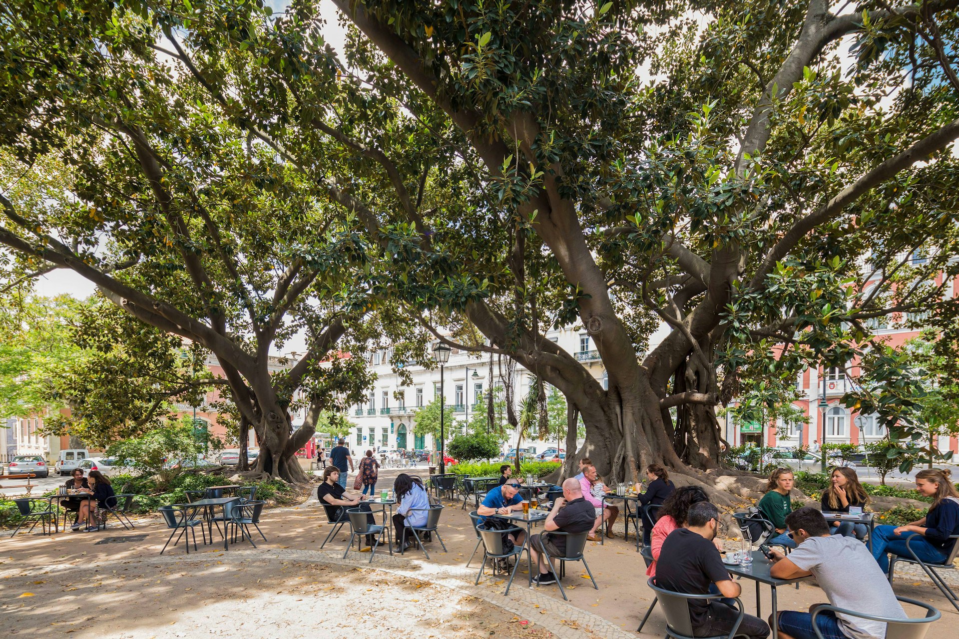 People sit at a few tables at an outside cafe underneath huge trees which form a canopy over them