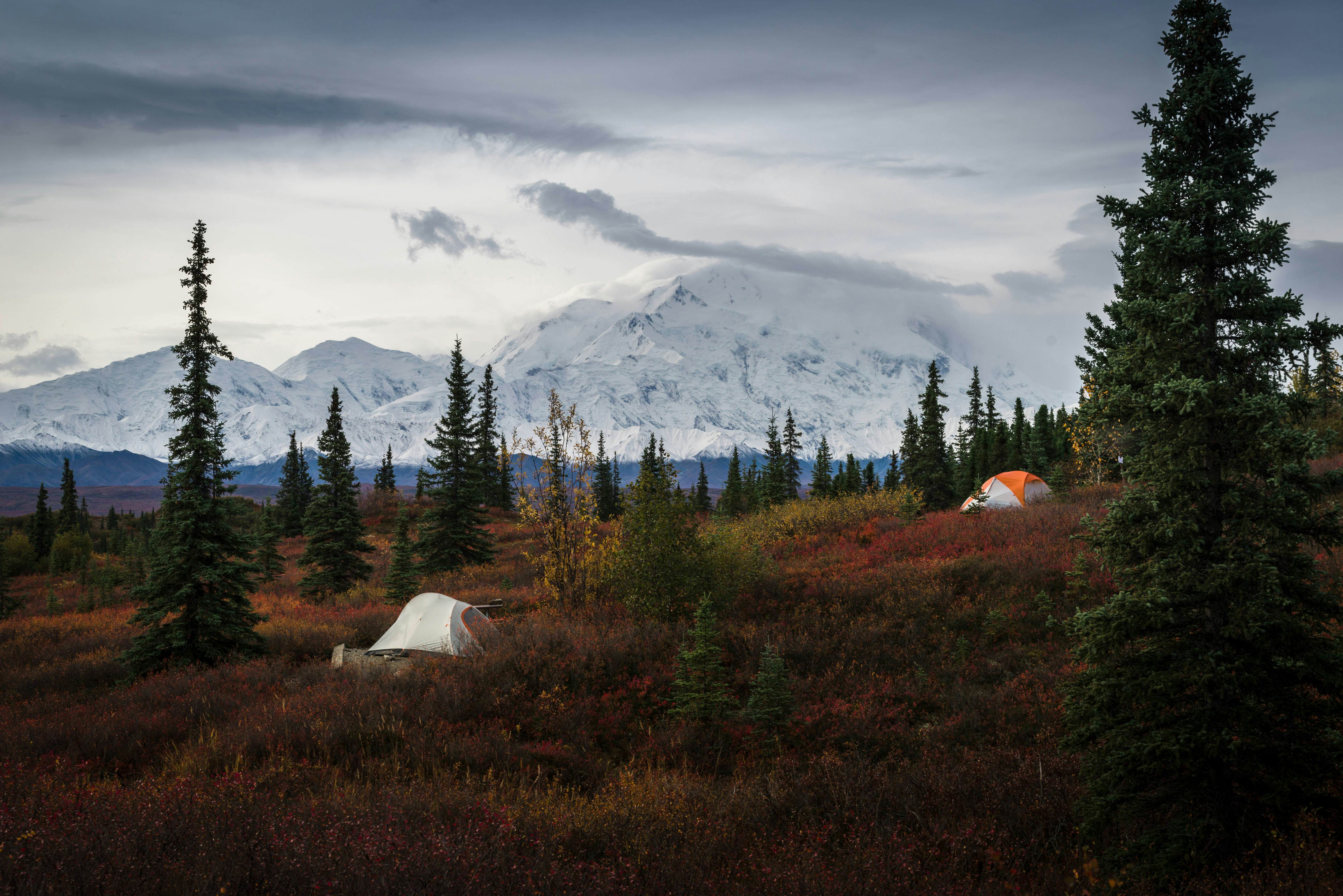 Best Hikes In Alaska - Lonely Planet