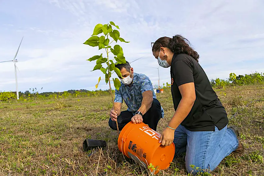 Alaska_1.jpg A man and woman planting a tree in Hawaii