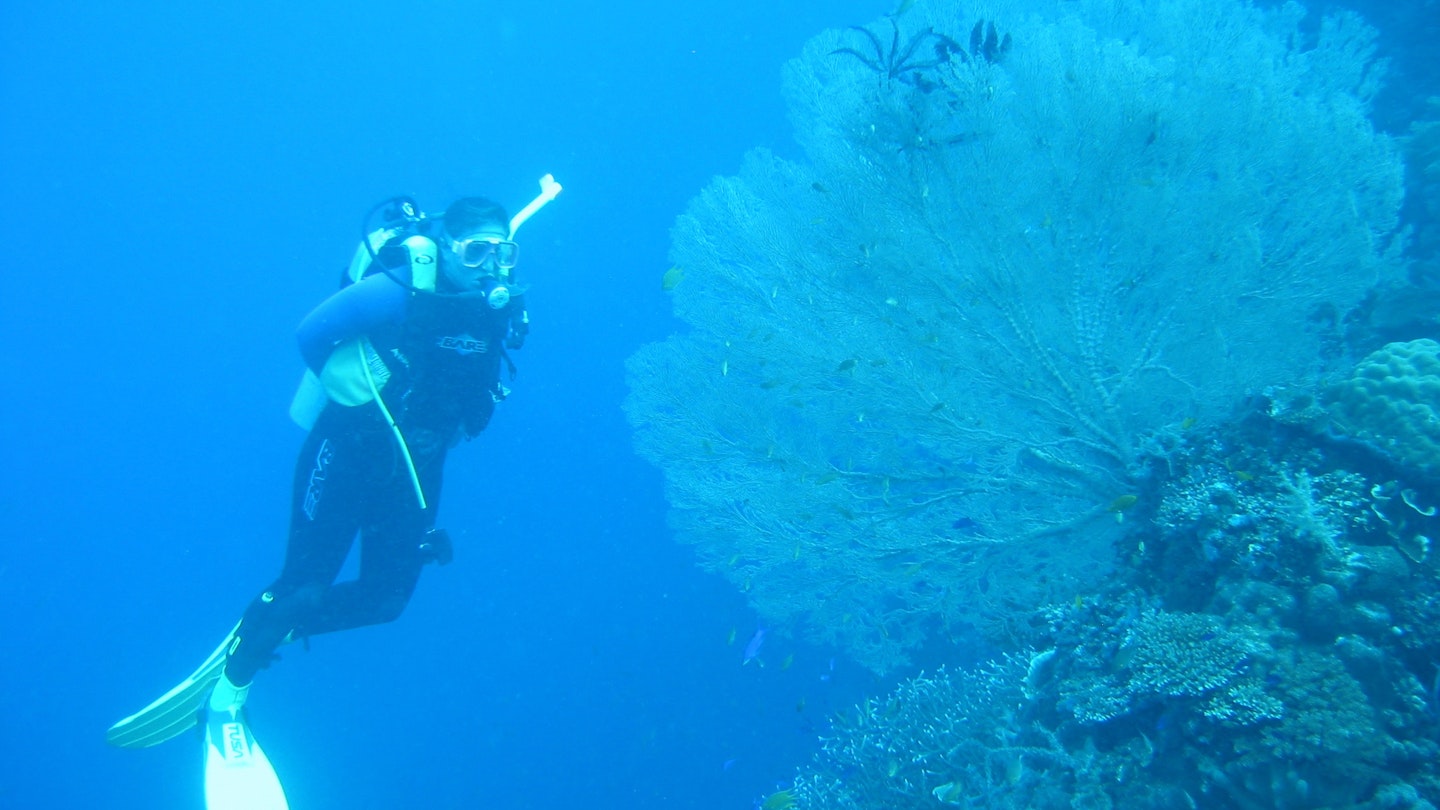 Dr. Vincent dives in damaged habitats to figure out what to do for species and spaces that are at risk.