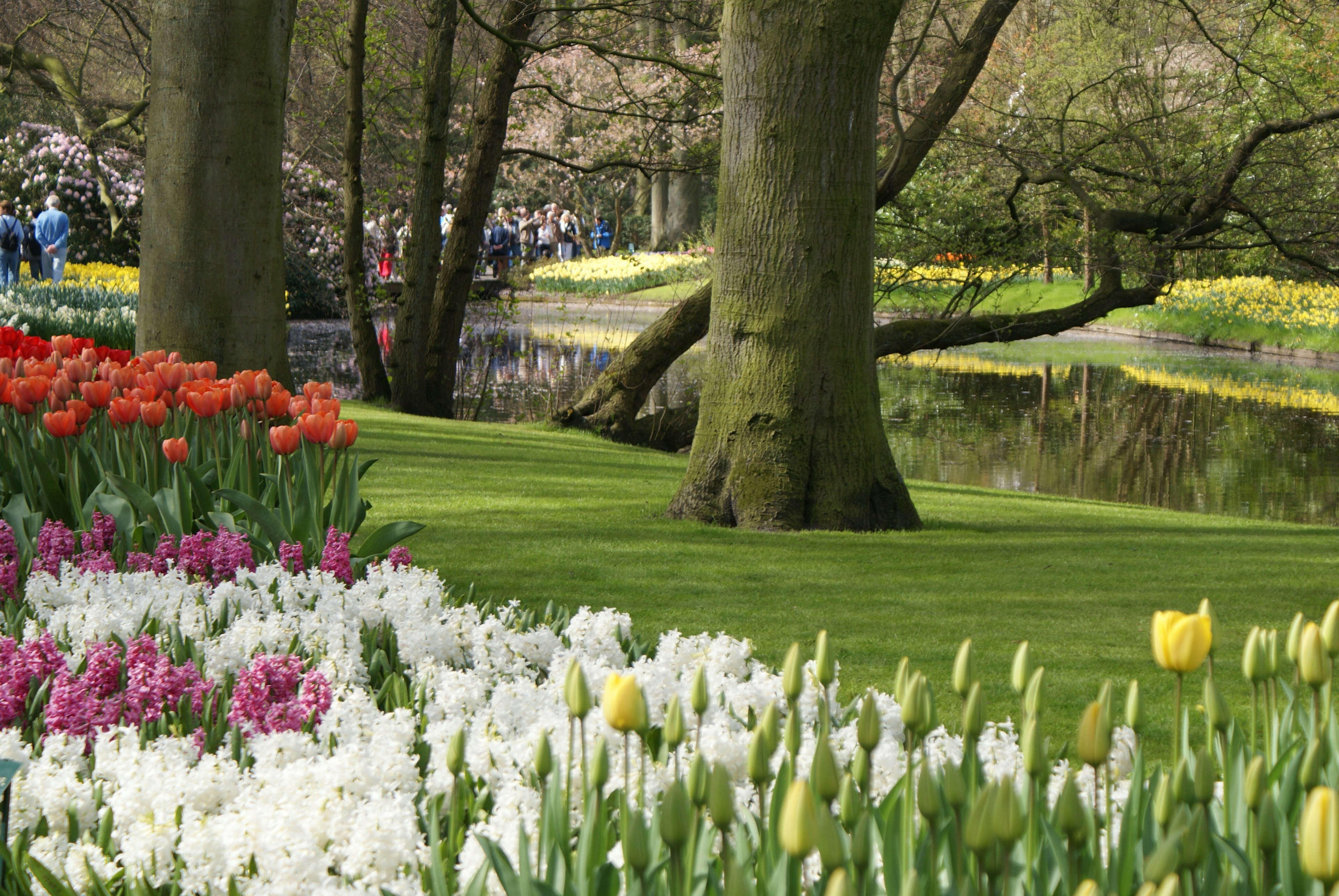 Keukenhof Gardens in the Netherlands