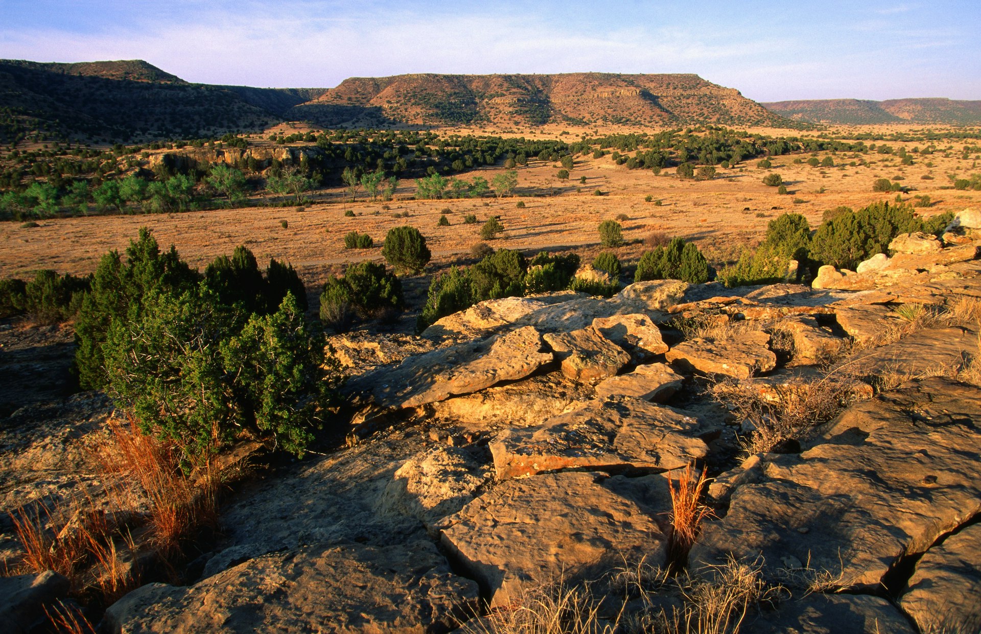 Arid landscape of the Black Mesa State Park 