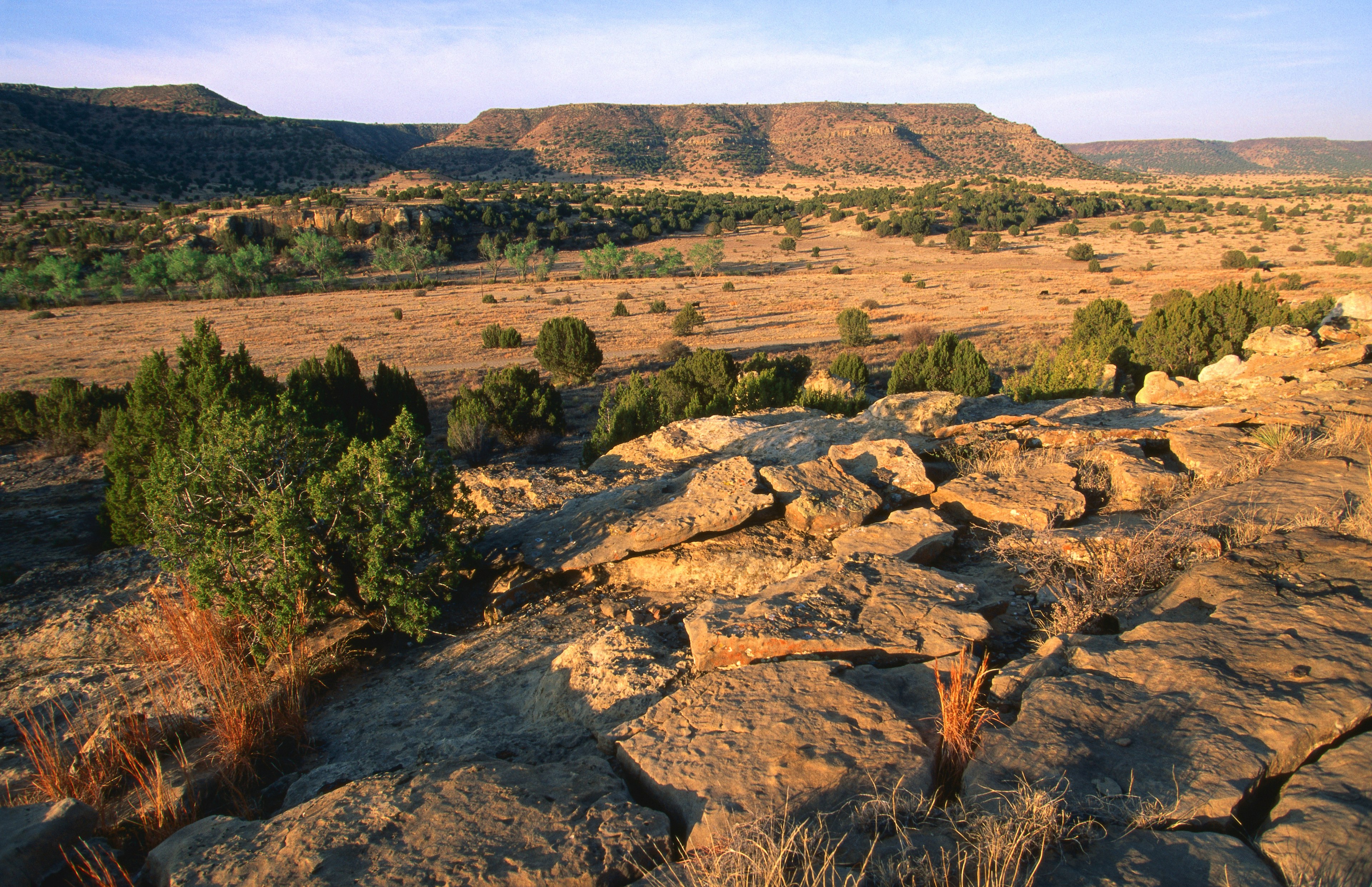 Arid landscape of the Black Mesa State Park